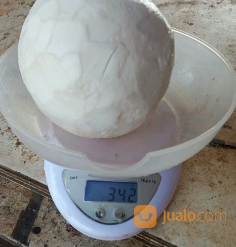 Grosir Daging Kelapa Tua