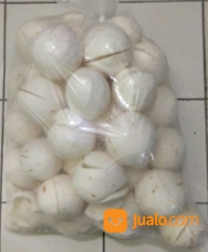Grosir Daging Kelapa Tua