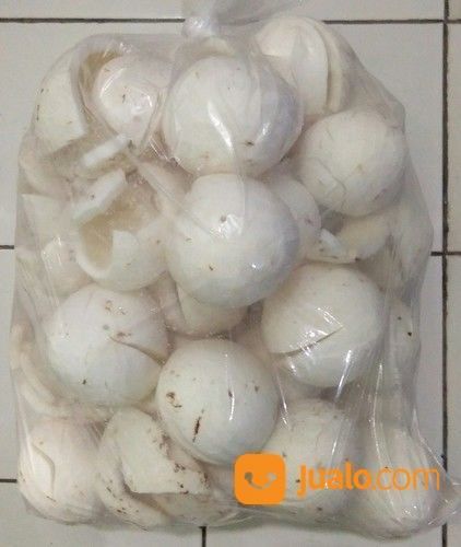 Grosir Daging Kelapa Tua