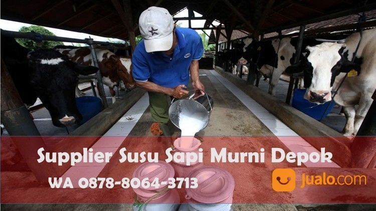 BEST SELLER, WA 0878-8064-3713, Produsen Susu Murni Literan Area Bojong Sari Depok