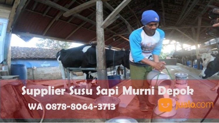 BEST SELLER, WA 0878-8064-3713, Produsen Susu Murni Literan Area Bojong Sari Depok