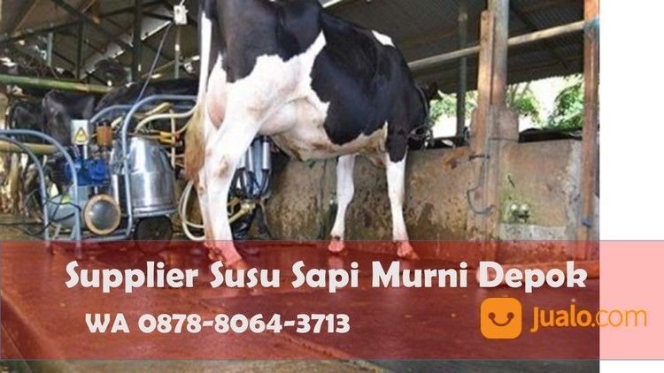 BEST SELLER, WA 0878-8064-3713, Produsen Susu Murni Literan Area Bojong Sari Depok