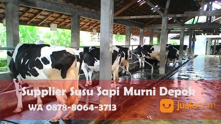 BEST SELLER, WA 0878-8064-3713, Produsen Susu Murni Literan Area Bojong Sari Depok