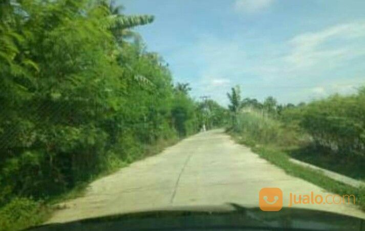 TANAH 100 HEKTAR - MUARAGEMBONG KAB. BEKASI