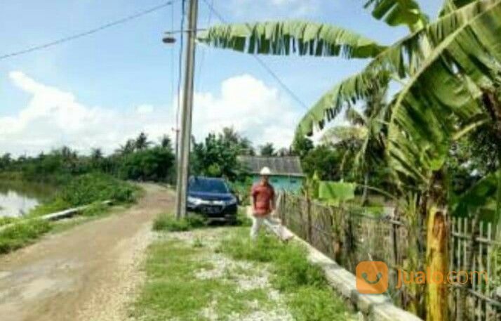 TANAH 100 HEKTAR - MUARAGEMBONG KAB. BEKASI