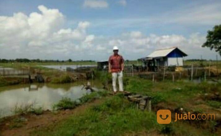 TANAH 100 HEKTAR - MUARAGEMBONG KAB. BEKASI