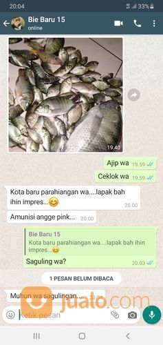 Essen Ikan Nila Babon Paling Jitu