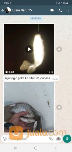 Essen Ikan Nila Babon Paling Jitu