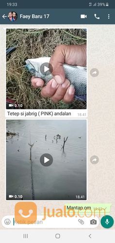 Essen Ikan Nila Babon Paling Jitu