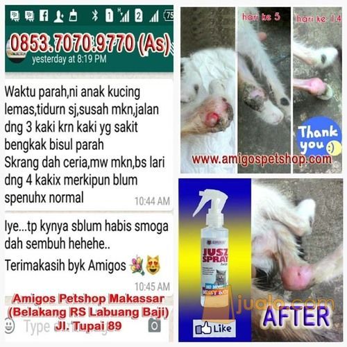 Obat jamur, kurap, demodex, scabbies, kutu, luka, Ring Worm, Borok, Kutu - Amigos Petshop Mksr