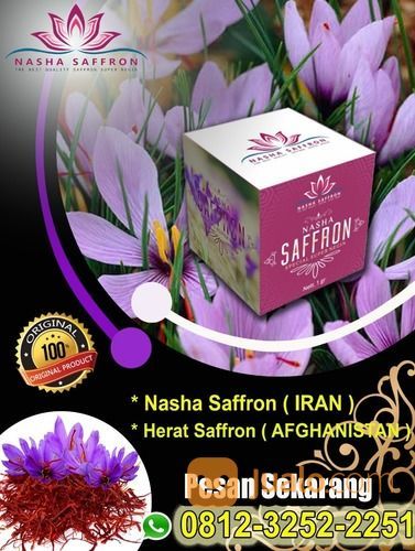 Putik Bunga Saffron Super Bandung Bogor