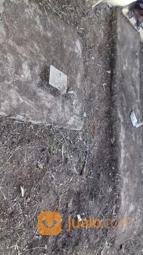 Potong Rumput Bandar Lampung + Bersih Bersih Pekarangan