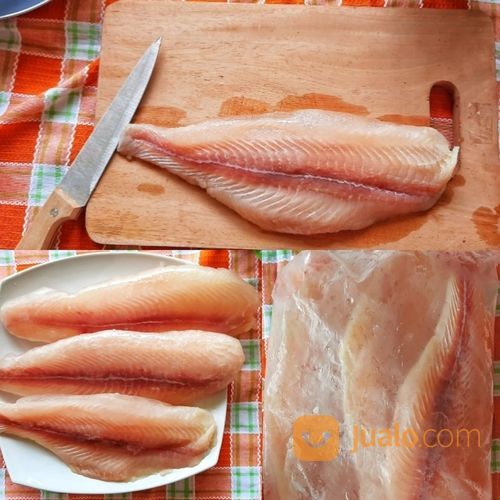Ikan Dory / Dory Fillet @1kg