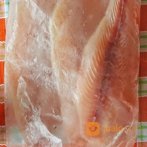 Ikan Dory / Dory Fillet @1kg