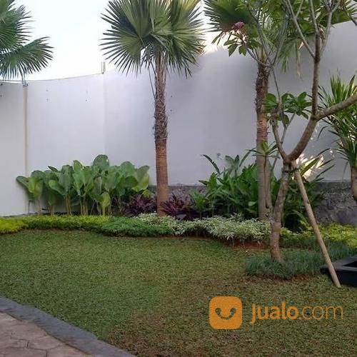 Jasa Tukang Taman Jasa Pasang Rumput