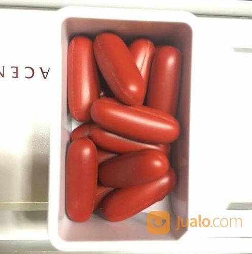 Manfaat Purtier Placenta 6 Asli / Purtier Placenta Original