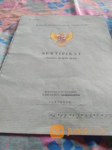 Tanah Tambak Aktif Dan Produktif, Turi - Lamongan.