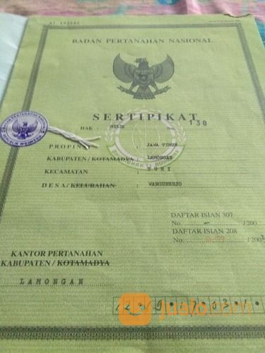 Tanah Tambak Aktif Dan Produktif, Turi - Lamongan.