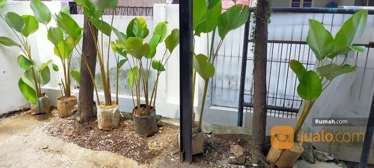 Rumah Kompleks Maleer Indah Lokasi Sangat Strategis
