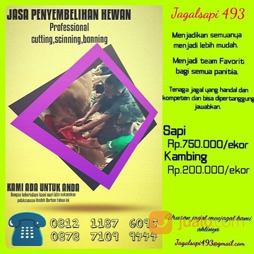 Jasa Penyembelihan Hewan Aqiqah Dan Qurban