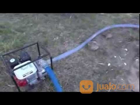 Persewaan Stamper Kuda ,Stamper Kodok,Jack Hammer,Dll.