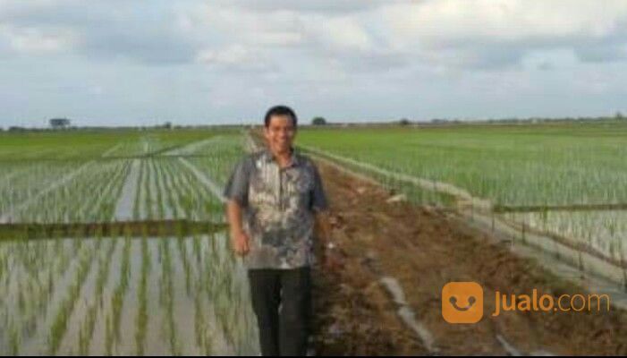 TANAH 1000 HEKTAR - CILAMAYA KARAWANG