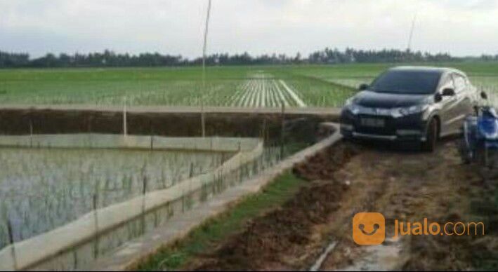 TANAH 1000 HEKTAR - CILAMAYA KARAWANG