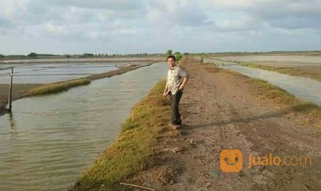 TANAH 1000 HEKTAR - CILAMAYA KARAWANG