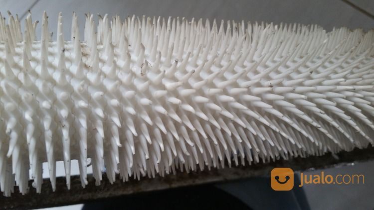 Roll Gerigi Untuk Epoxy Lantai