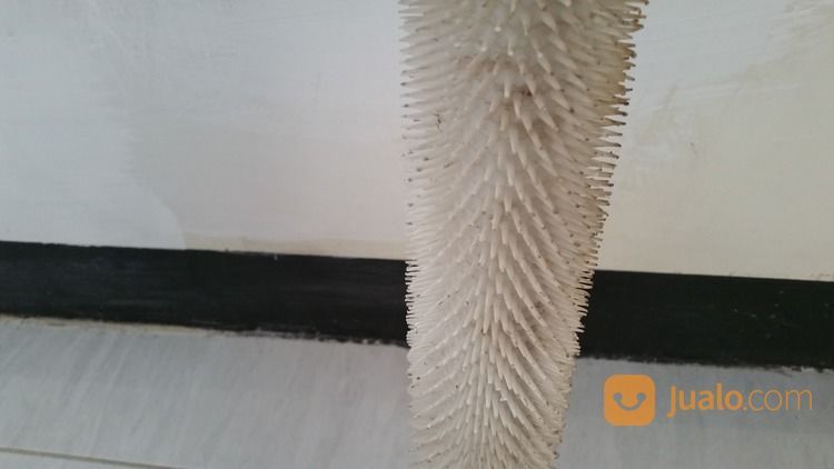 Roll Gerigi Untuk Epoxy Lantai