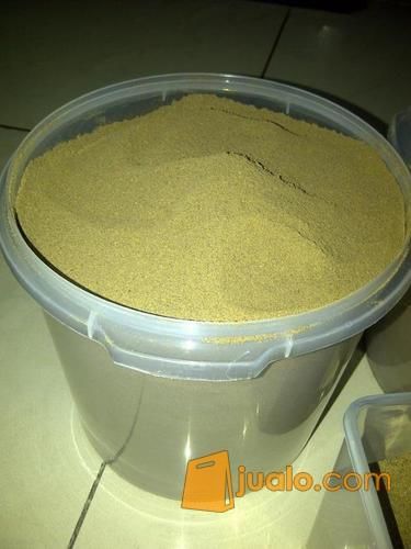 Tepung Cacing Lumbricus Rubellus