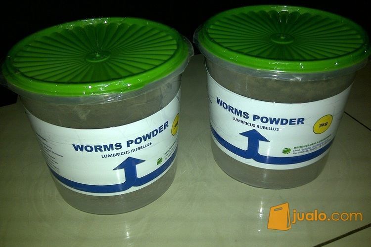 Tepung Cacing Lumbricus Rubellus