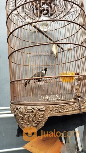 Poksay Hongkong Jinak Gacoran Banyak Isian