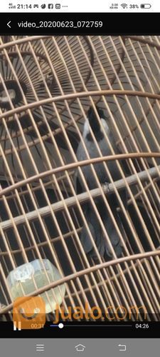 Poksay Hongkong Jinak Gacoran Banyak Isian