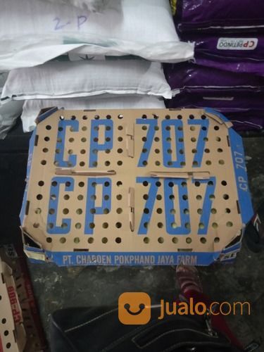 Bibit/DOC AYAM Potong/Broiler