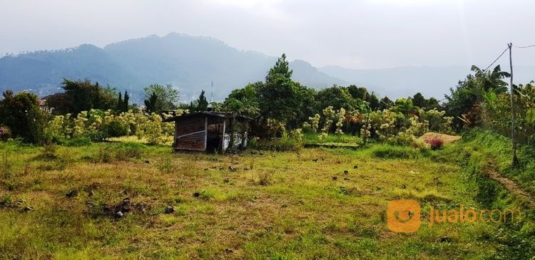 Lahan Pekarangan Cocok Buat Vila Dan Hunian