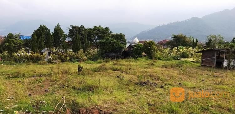 Lahan Pekarangan Cocok Buat Vila Dan Hunian