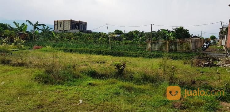 Lahan Pekarangan Cocok Buat Vila Dan Hunian