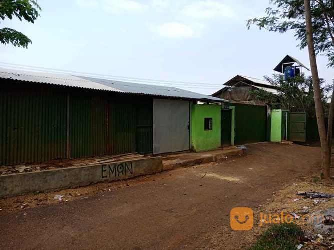 Peternakan Ayam Petelur Semi Permanen Modern Cianjur