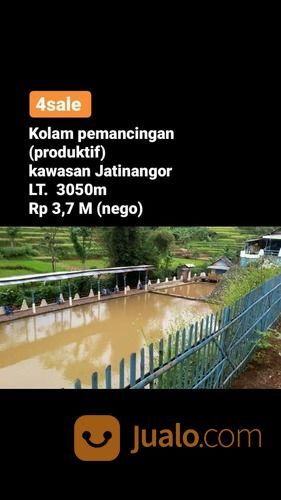 Kolam Pemancingan Jatinangor (Produktif)