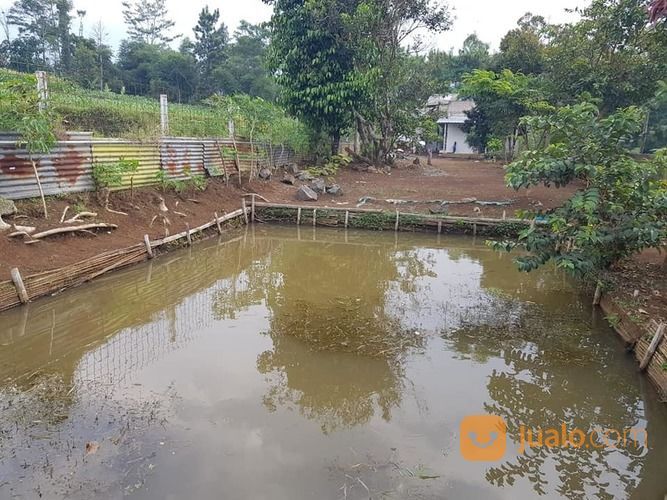 Rumah Kebun Kolam & Gudang Akses Wisata Gunung Puntang & Islamic Centre Cimaung