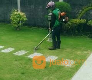 Jasa Potong Rumput Dan Pohon Area Kota Banda Aceh Hub 081360395381