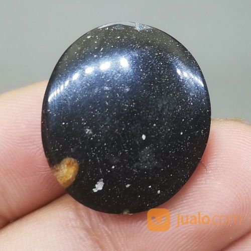 Batu Fosil Galih Kelor Asli