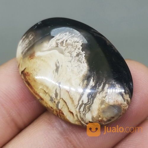 Batu Akik Fosil Kayu Galih Kelor Antik Asli
