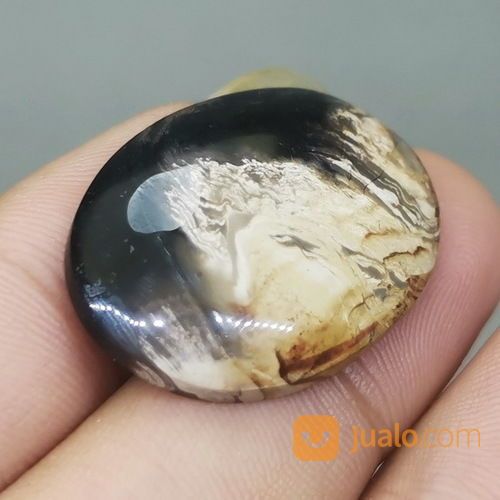 Batu Akik Fosil Kayu Galih Kelor Antik Asli