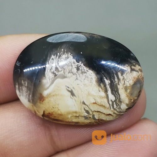 Batu Akik Fosil Kayu Galih Kelor Antik Asli