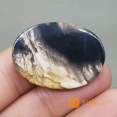 Batu Akik Fosil Kayu Galih Kelor Antik Asli