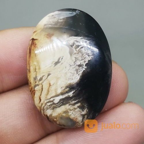 Batu Akik Fosil Kayu Galih Kelor Antik Asli