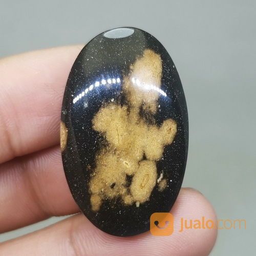 Fosil Batu Galih Kelor Coklat Hitam Asli