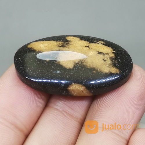 Fosil Batu Galih Kelor Coklat Hitam Asli